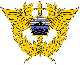Direktorat Informasi Kepabeanan dan Cukai RI