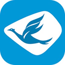 Bluebird Group
